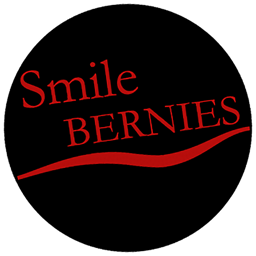 Smile Bernies Erfurt logo.